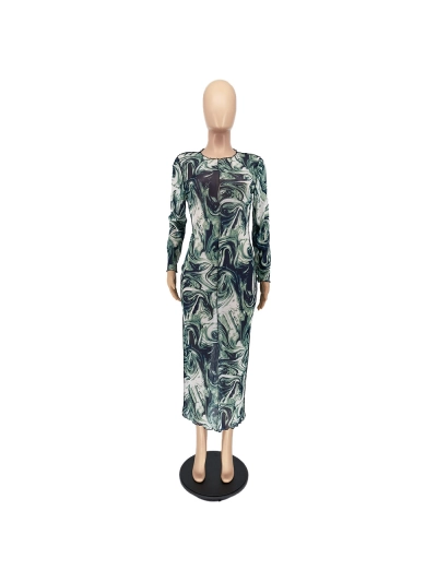 Early Autumn Fashion Mesh Leader Anti-Car Print Dress 02