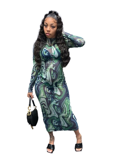 Early Autumn Fashion Mesh Leader Anti-Car Print Dress 01