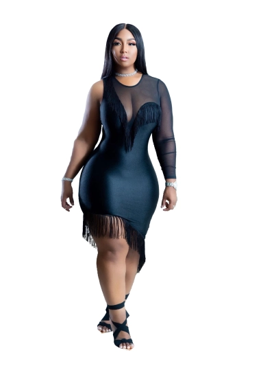Spring And Summer Fashion Single Sleeve Mesh Fringe Dress 01