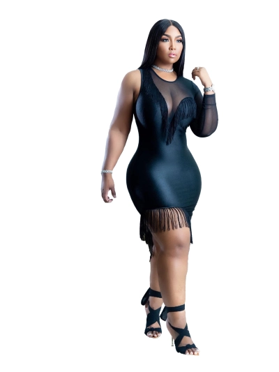 Spring And Summer Fashion Single Sleeve Mesh Fringe Dress 02