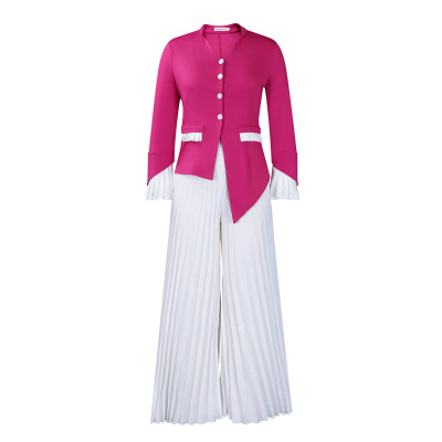 Spring New Fashion Trumpet Sleeve Top Pleated Wide-Leg Pants Suit 02