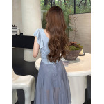 Elegant Pleated Semi-Sheer Skirt