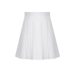 Academic Style High-Waisted A-Line Pleated Skirt