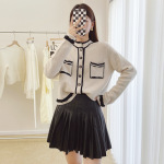 Classic High-Waisted Pleated Women's Skirt