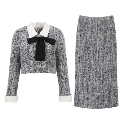 Chic Petite Chiffon Blazer & Pleated Skirt Set 01