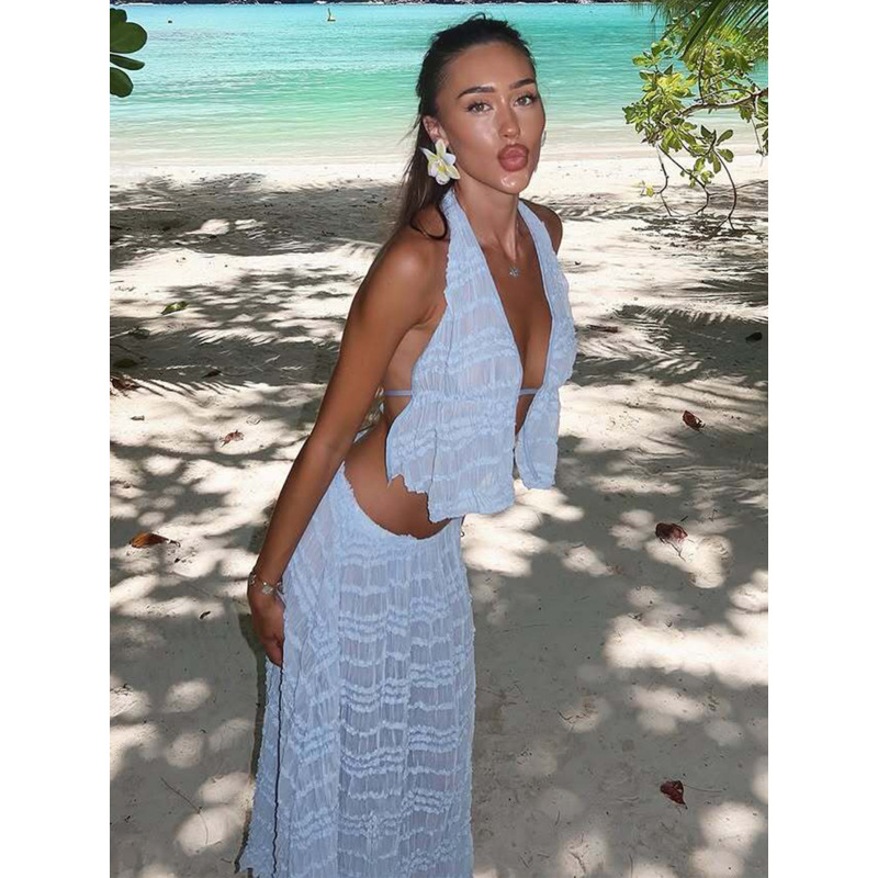 Embroidered Lace - Spliced See - Through Loose Pleated Set 