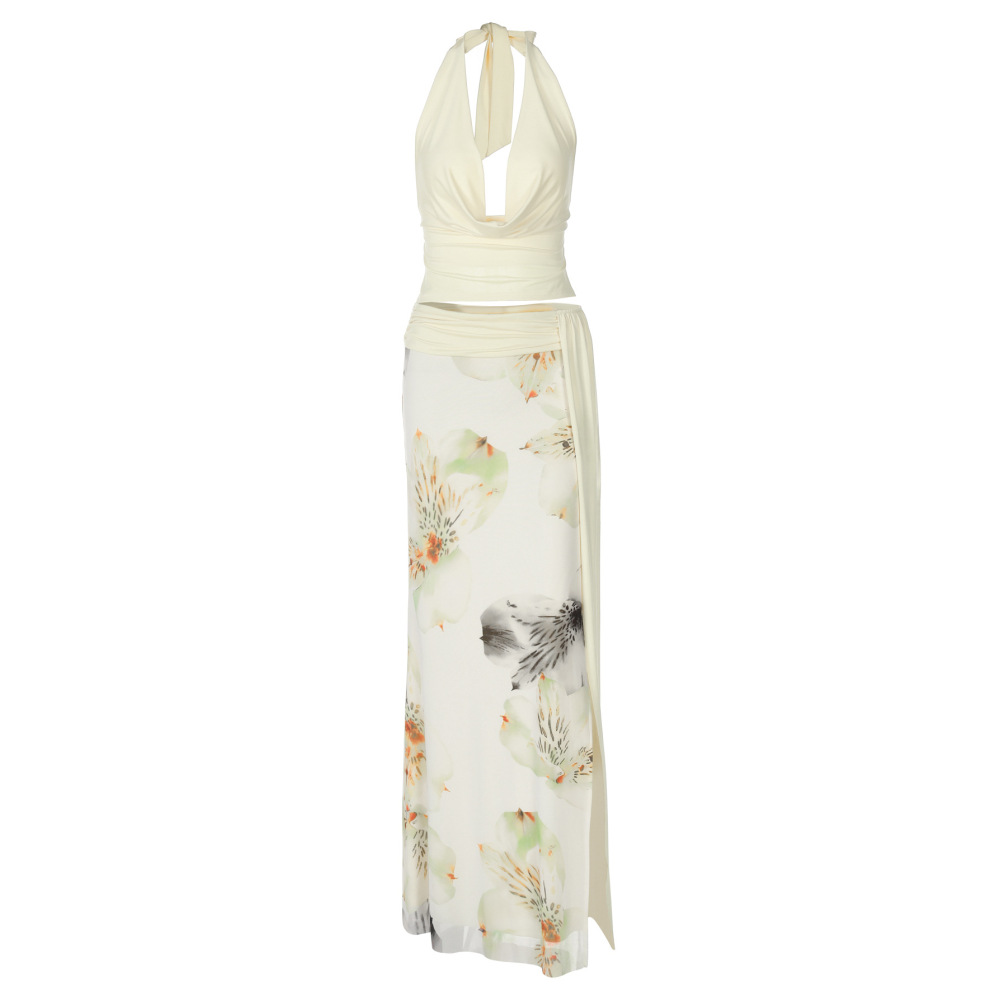 Bodycon Sheer Mesh Floral Print Split - hem Dress Set