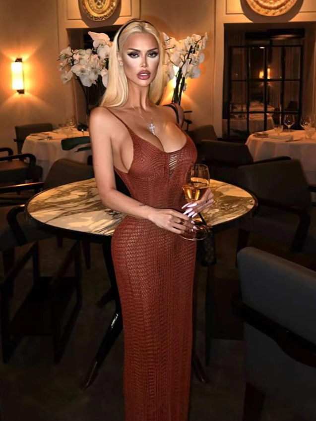 Knit Hollow - out Slim Backless Sheer Dress