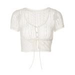 Trendy Lace Trim Mesh Crop Top