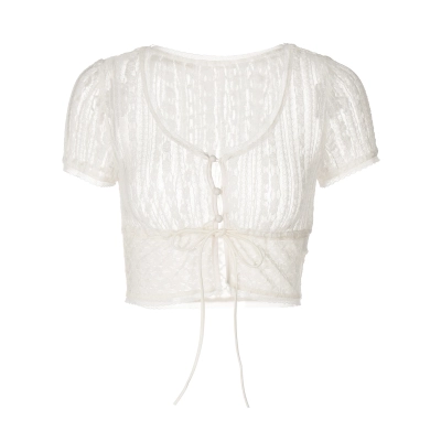 Trendy Lace Trim Mesh Crop Top 01