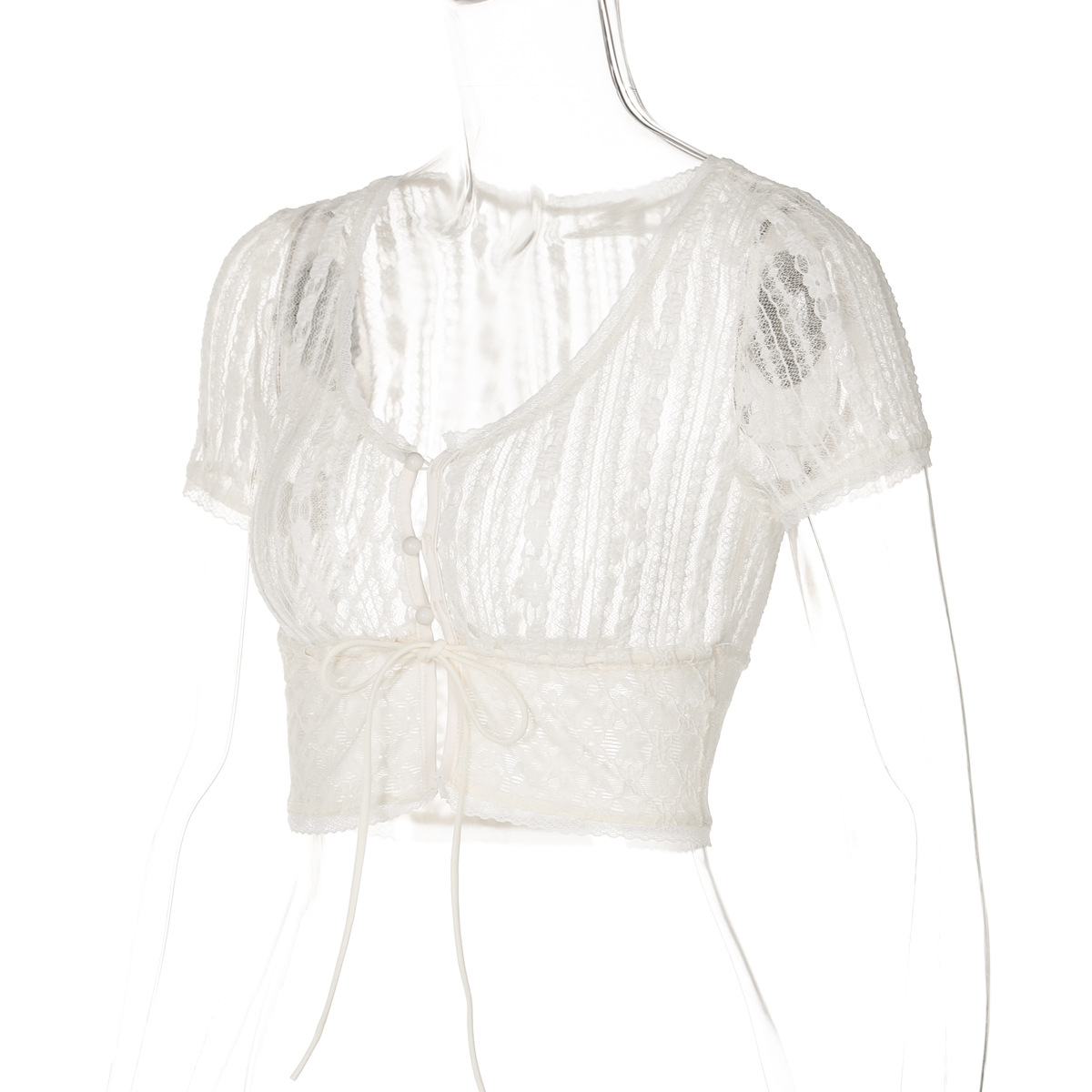 Trendy Lace Trim Mesh Crop Top