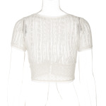 Trendy Lace Trim Mesh Crop Top