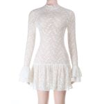 2025 Fall Winter New Women's Lace Overlay Long Sleeve Dress