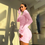 Autumn Women's 3D Flower Embellished Long Sleeve Pencil Dress
