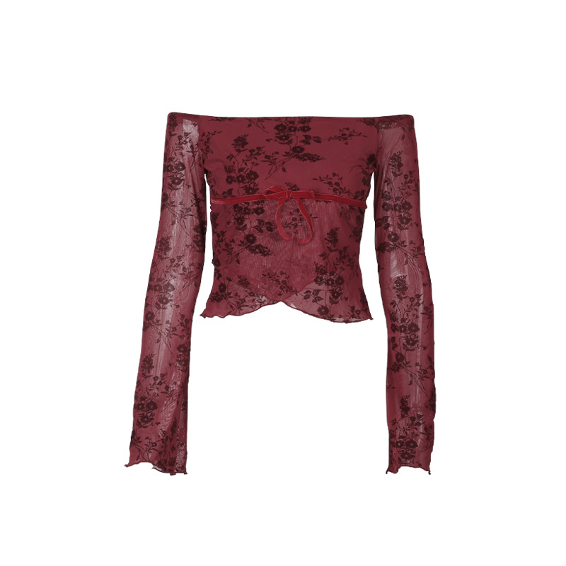 Off-the-Shoulder Mesh Printed Long Sleeve Top