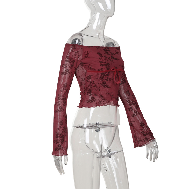 Off-the-Shoulder Mesh Printed Long Sleeve Top