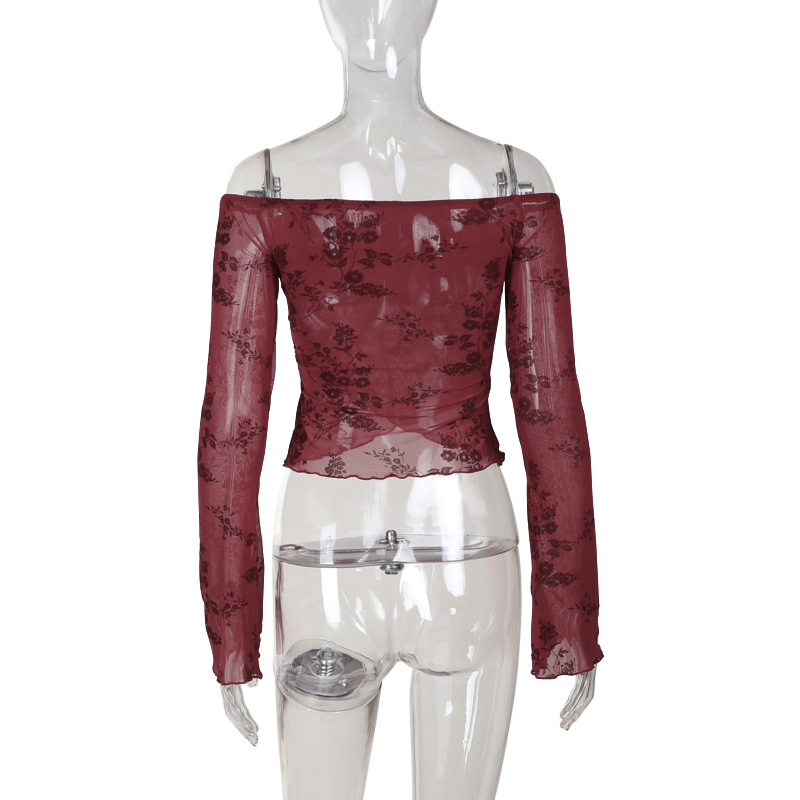 Off-the-Shoulder Mesh Printed Long Sleeve Top