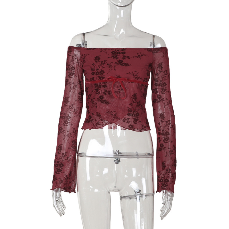 Off-the-Shoulder Mesh Printed Long Sleeve Top