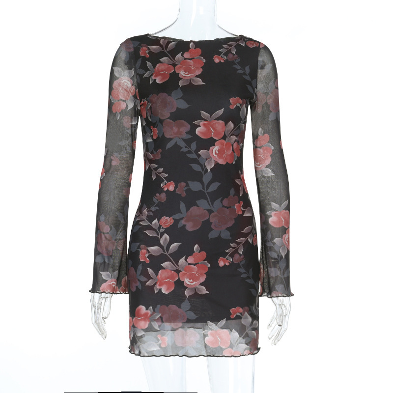 Sexy Floral Sheer Mesh Bodycon Dress