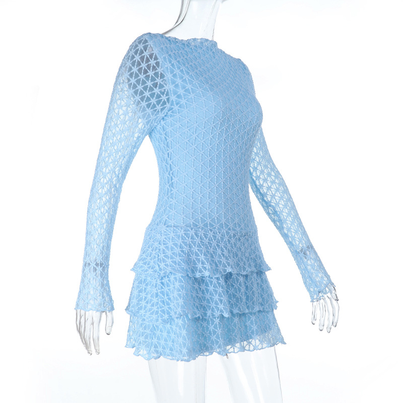 Round Neck Lace Trim Sheer Panel Long Sleeve Dress