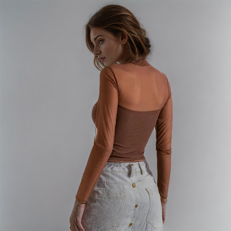Solid Color Round Neck Sheer Tulle Panel Long Sleeve Semi-Turtleneck Top