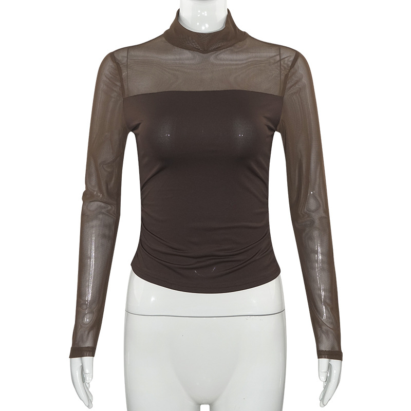 Solid Color Round Neck Sheer Tulle Panel Long Sleeve Semi-Turtleneck Top