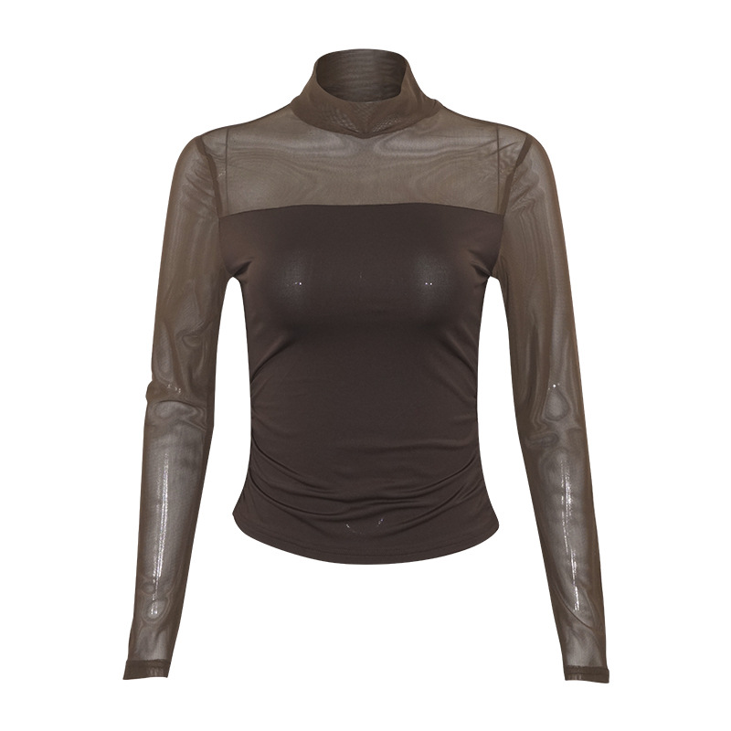 Solid Color Round Neck Sheer Tulle Panel Long Sleeve Semi-Turtleneck Top