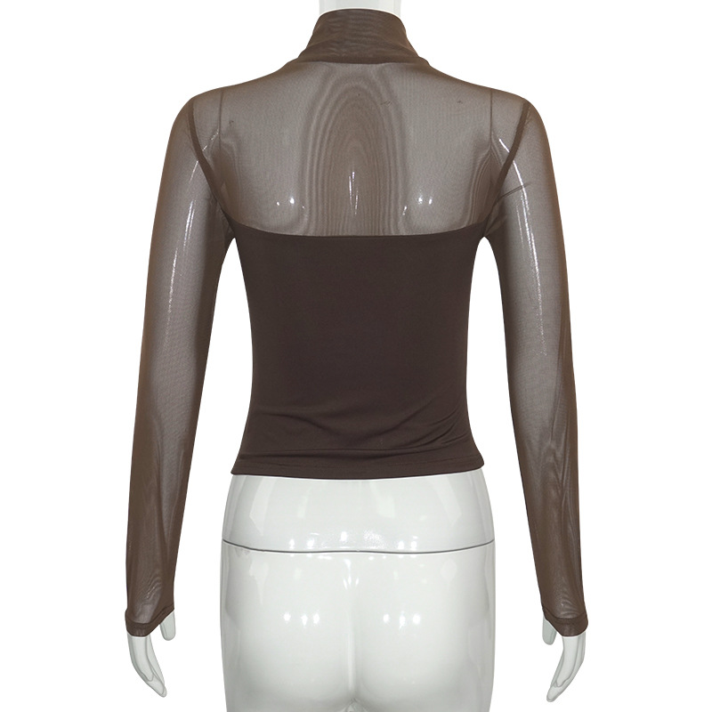 Solid Color Round Neck Sheer Tulle Panel Long Sleeve Semi-Turtleneck Top