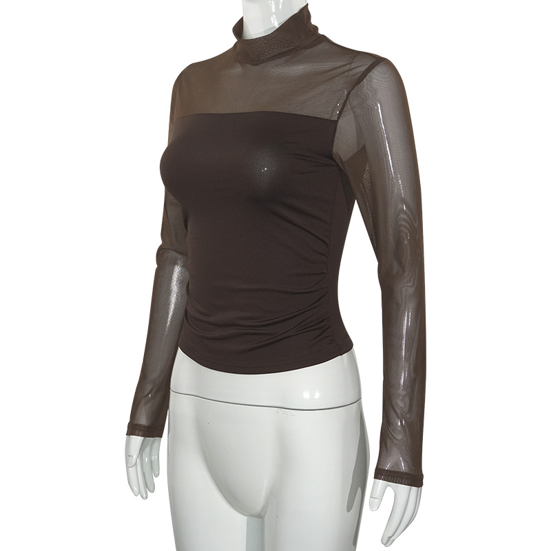 Solid Color Round Neck Sheer Tulle Panel Long Sleeve Semi-Turtleneck Top