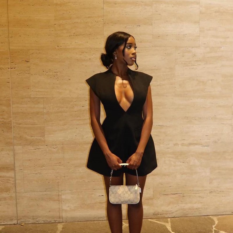 Solid Color Deep V Neck Sleeveless Mini Bodycon Dress