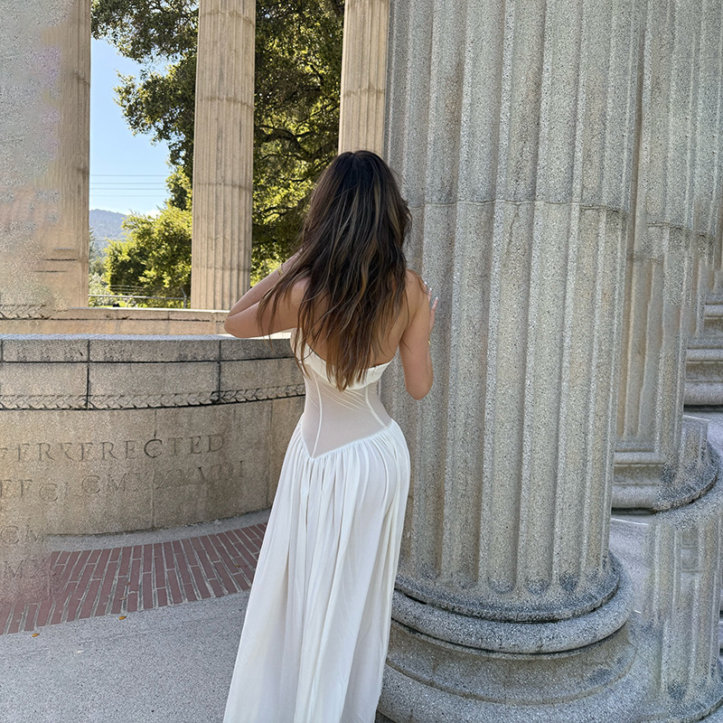 Halter Neck Sheer Mesh Maxi Dress