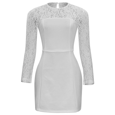Solid Color Round Neck Bodycon Mini Dress with Lace Paneling 01