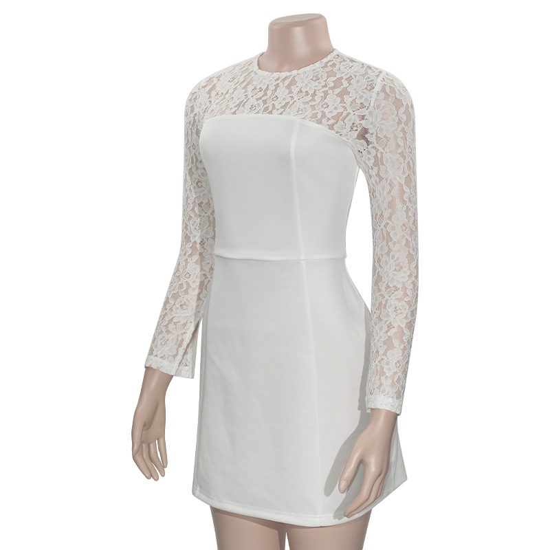 Solid Color Round Neck Bodycon Mini Dress with Lace Paneling