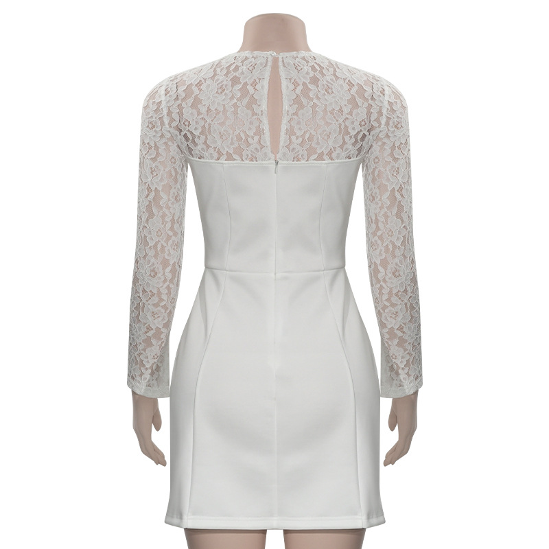 Solid Color Round Neck Bodycon Mini Dress with Lace Paneling