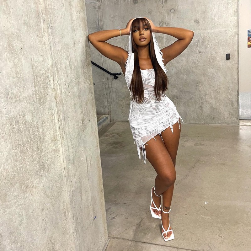 Solid Color Sleeveless Hooded Bodycon Mini Dress with Fringe