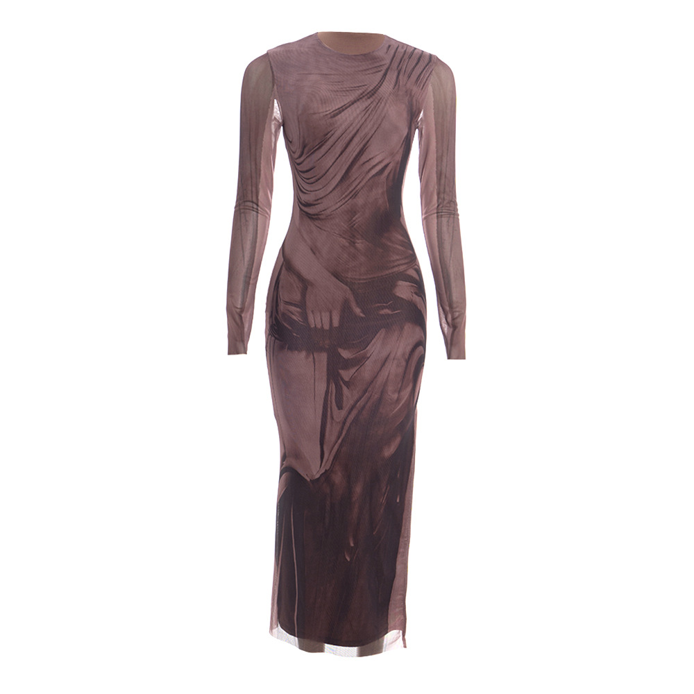 Round Neck Long Sleeve Printed Maxi Dress