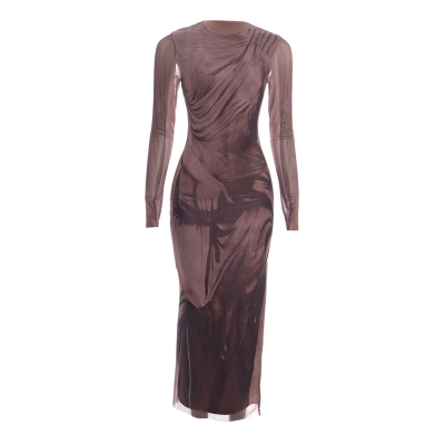 Round Neck Long Sleeve Printed Maxi Dress 01