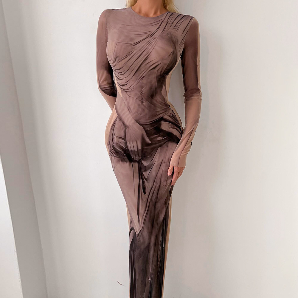 Round Neck Long Sleeve Printed Maxi Dress