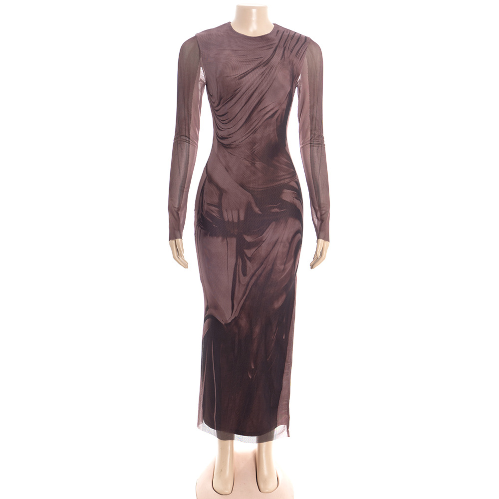 Round Neck Long Sleeve Printed Maxi Dress