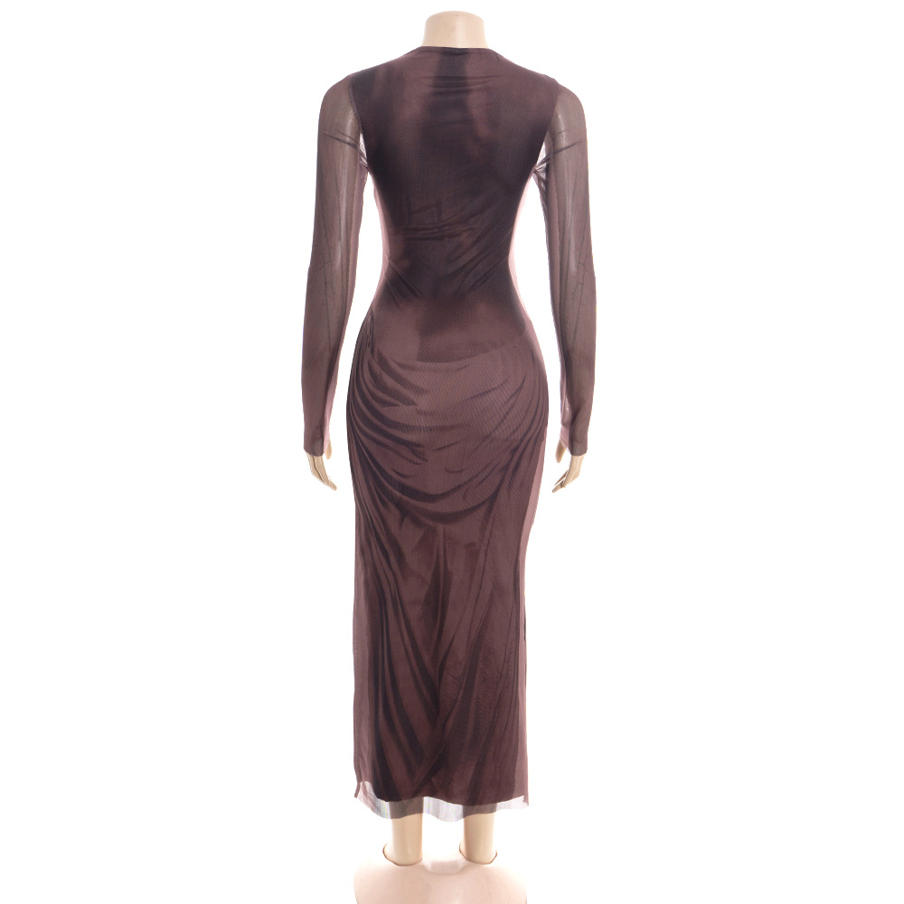 Round Neck Long Sleeve Printed Maxi Dress