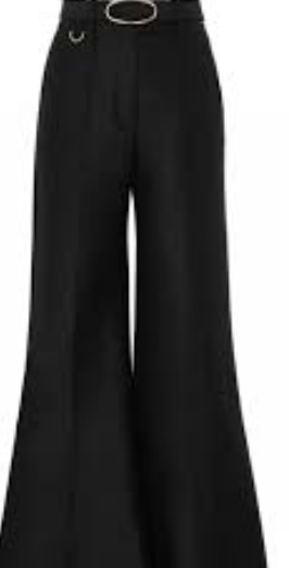 New Spring and Autumn High-End Drape Flared Pants for Women review Emma Thompson