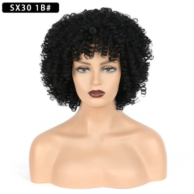 Short Curly Wig for Women with Small Curly Afro Hair 02