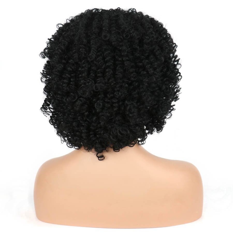 Short Curly Wig for Women with Small Curly Afro Hair