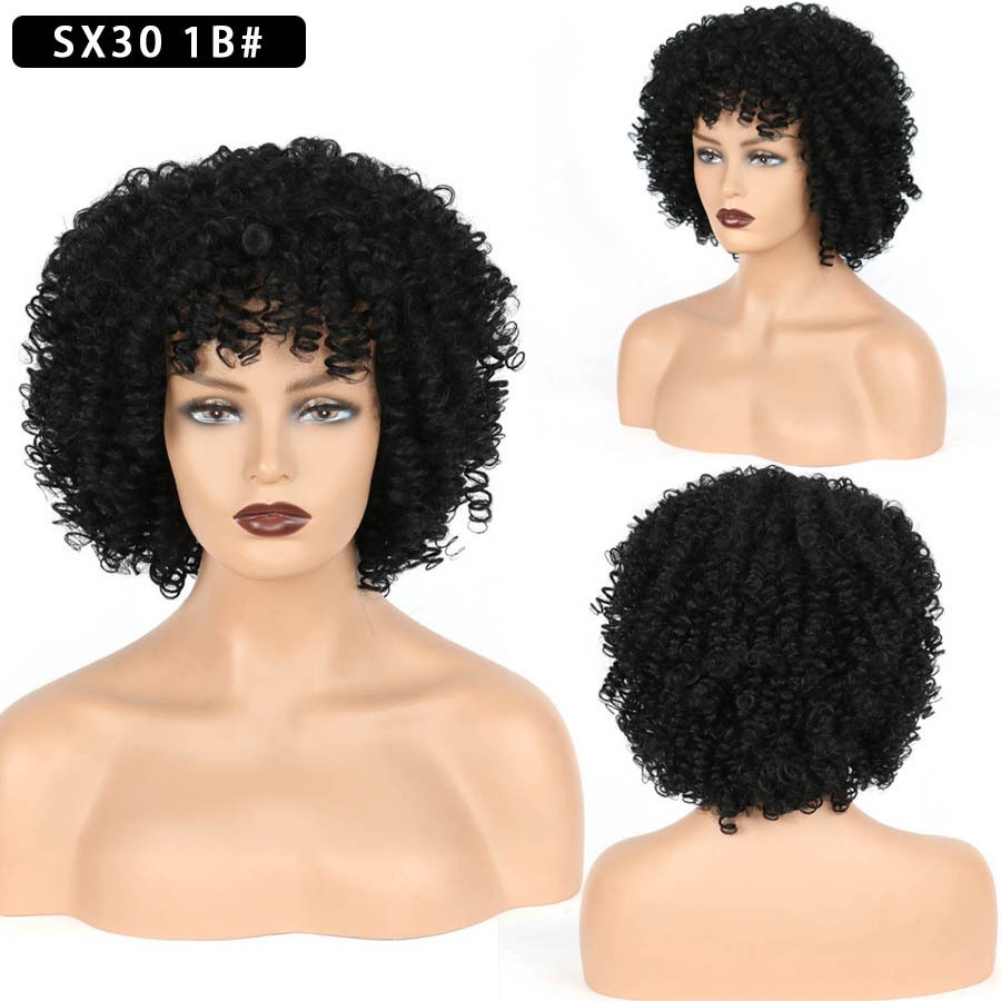Short Curly Wig for Women with Small Curly Afro Hair