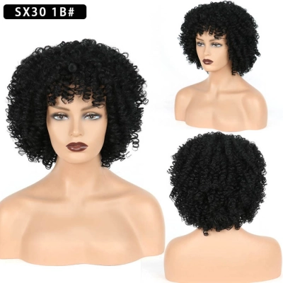 Short Curly Wig for Women with Small Curly Afro Hair 01