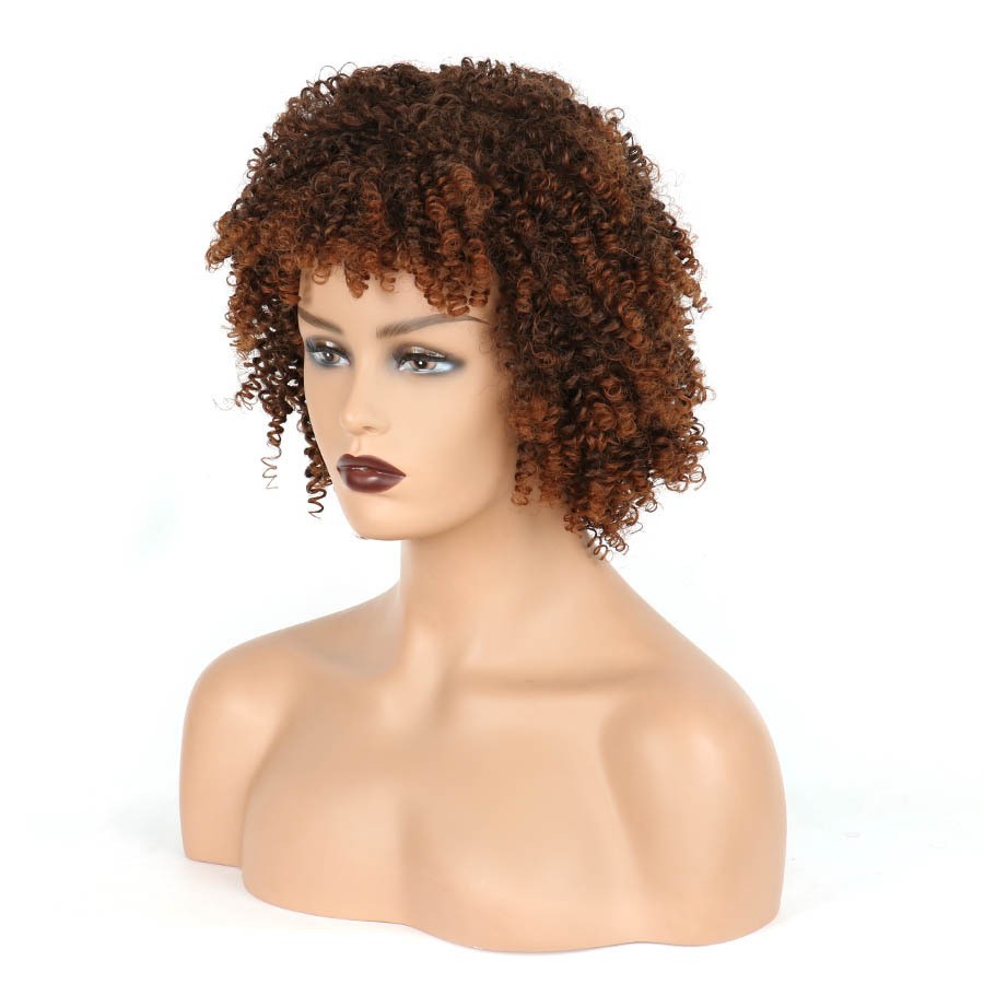 Short Curly Wig for Women with Small Curly Afro Hair