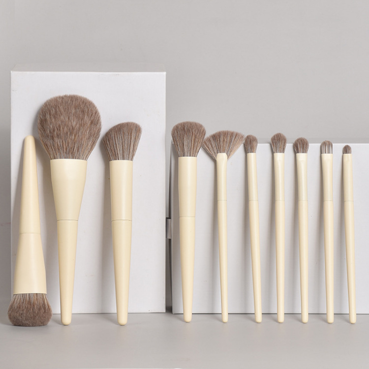 10 full set of brush beauty tools