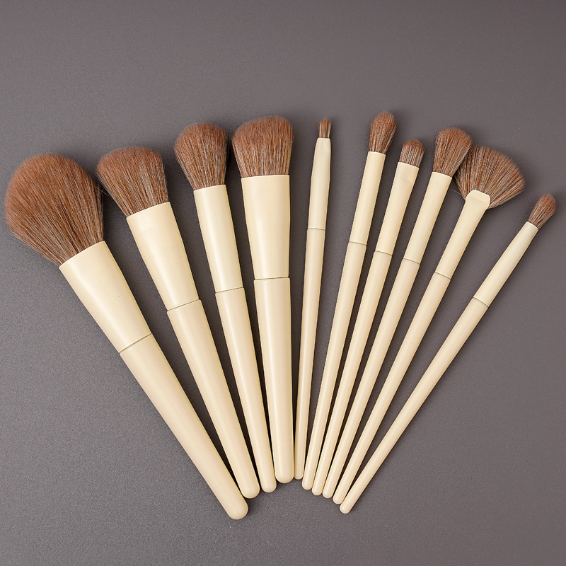 10 full set of brush beauty tools