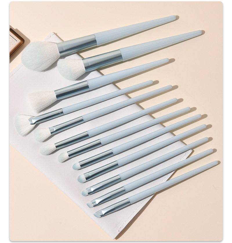 12 makeup brush set for grooming brushes