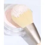 12 makeup brush set with soft animal hair